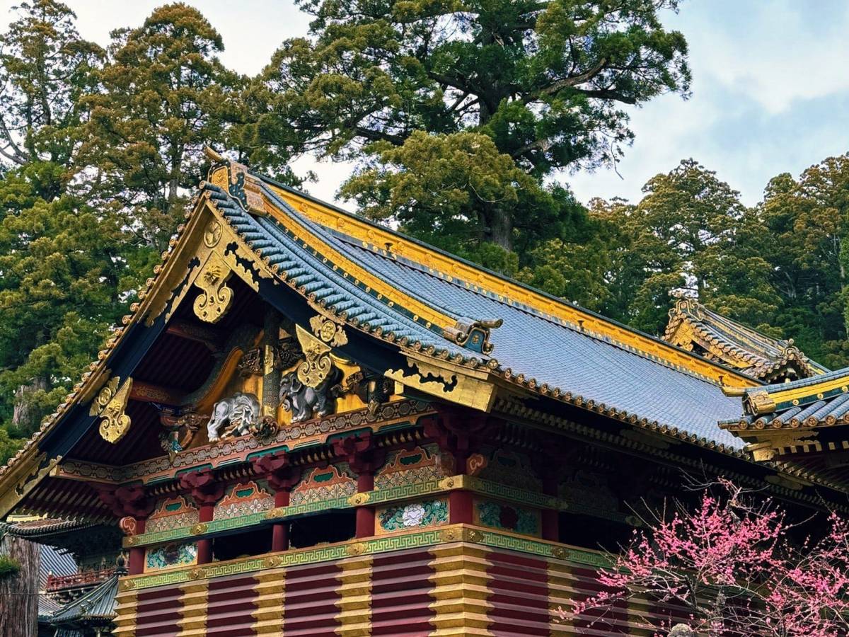 Donde las montañas son&nbsp;budas